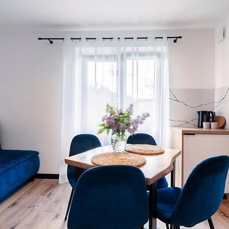ויסלאו Apartamenty Pod Wyciagiem מראה חיצוני תמונה